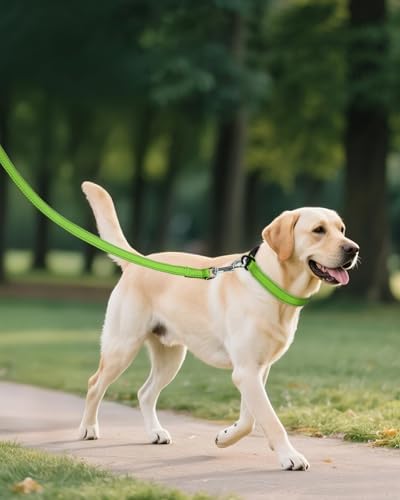 Joytale Feather-Light Dog Collar for Extra Large Dogs, 1 1/4", Green