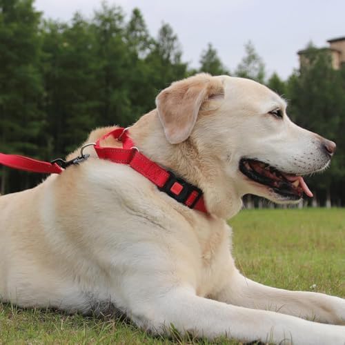 Joytale Martingale Collar for Dogs, Escape Proof No Pull, Red, M