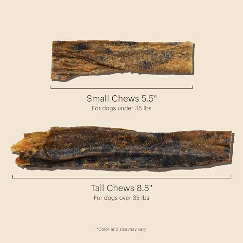 Honest Kitchen Ocean Chews Wolffish Skins Dog Treats - 6 oz Pouch