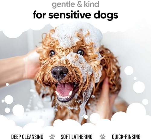 Buddycare Derma Sensitive Dog Shampoo with Aloe Vera and Pro Vitamin B5 (169.07oz)