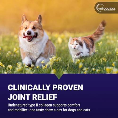 Vetoquinol Flexadin Advanced Hip and Joint Supplement with Undenatured Collagen for Dogs, One Chew a Day Hip and Joint Support Chew for Dogs and Cats, Clinically Proven Vet-Approved Formula, 30 Chews