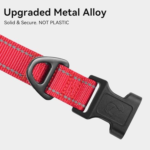 Joytale Reflective Dog Collar, Adjustable Neoprene Padded, Red S