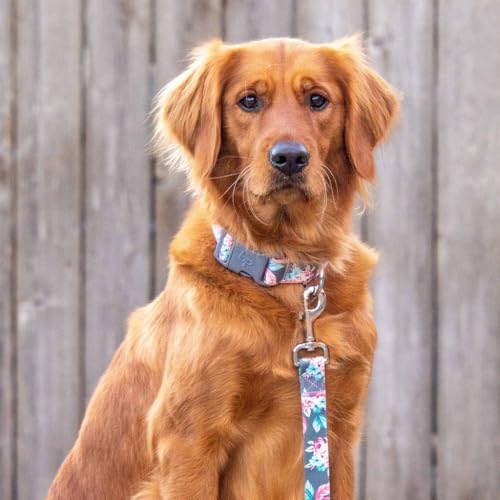 Blueberry Pet Floral Prints Neoprene Padded Dog Collar, Pink Rose, Adjustable Dog Collar for Small Dogs, Size Small, Neck 12-16”