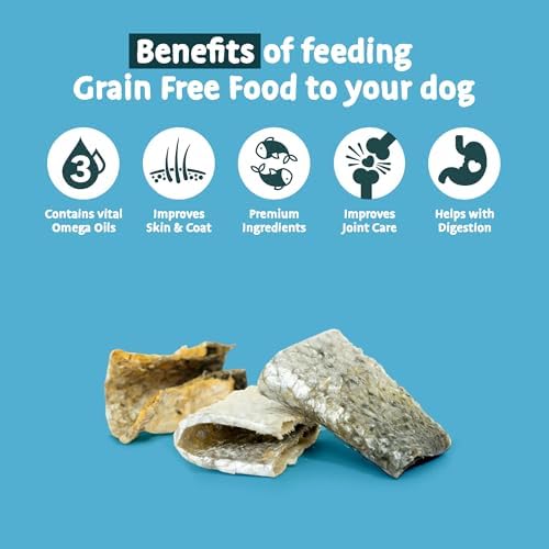 SKIPPER'S Salmon Skin Snacks Dog Treats - Gently Air Dried 100% Salmon Skin Chews, Great for Cleaning Teeth, Essential Omega 3 Oil, Hypoallergenic, Wheat & Gluten Free Fish Treat for Dogs | (3.52 Oz)