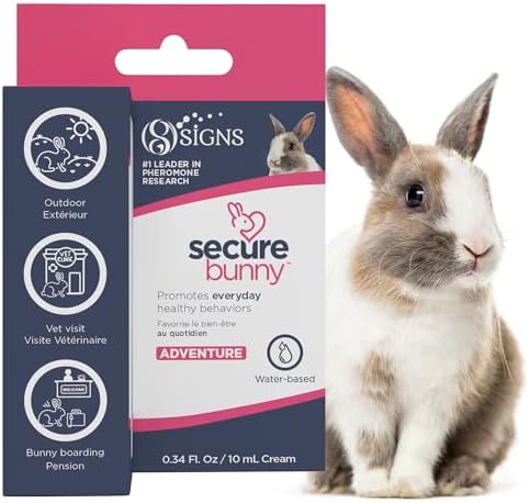 SIGNS SecureBunny Adventure