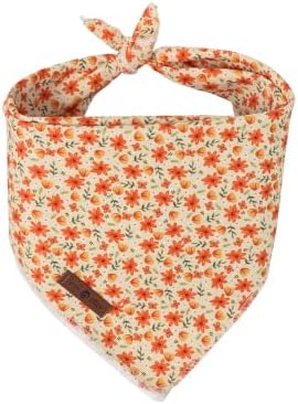 Lionet Paws Fall Flower Dog Bandana Washable Cotton Handkerchief Scarf Triangle Halloween Dog Bandanas, Large (Pack of 1), Medium, Cotton, Orane Flower