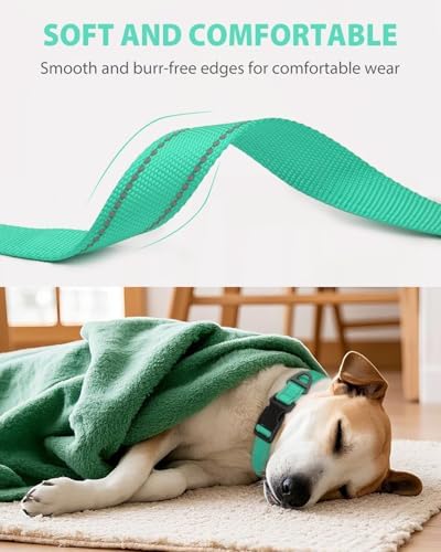Joytale Feather-Light Dog Collar for Extra Large Dogs, 1 1/4", Turquoise