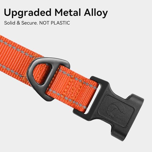 Joytale Reflective Dog Collar, Adjustable Neoprene Padded, Orange M