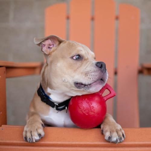 Jolly Pets Dog 6-Inch Tug-n-Toss, Red (406 RD),6 Inches/Medium