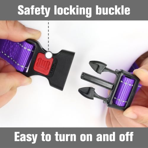 Joytale Martingale Collar for Dogs, Escape Proof No Pull, Purple, L