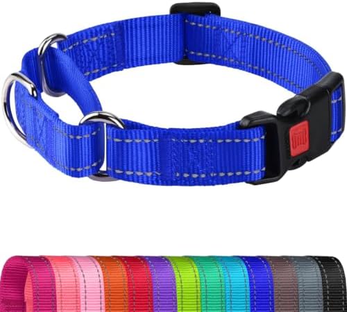 Joytale Martingale Collar for Dogs, Escape Proof No Pull, Navy Blue, S