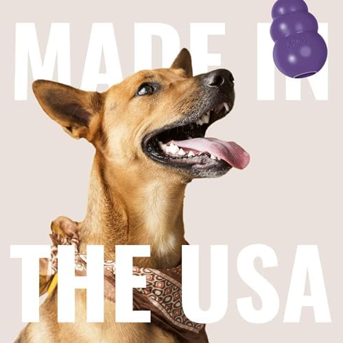 KONG Senior, Gentle Natural Rubber Toy, for Small Dogs (Pack of 2) | Gentle Natural Rubber Stuffable Toy Designed for Older Dogs with Aging Teeth, Holds Treats for Easy Chewing & Gentle Fetch