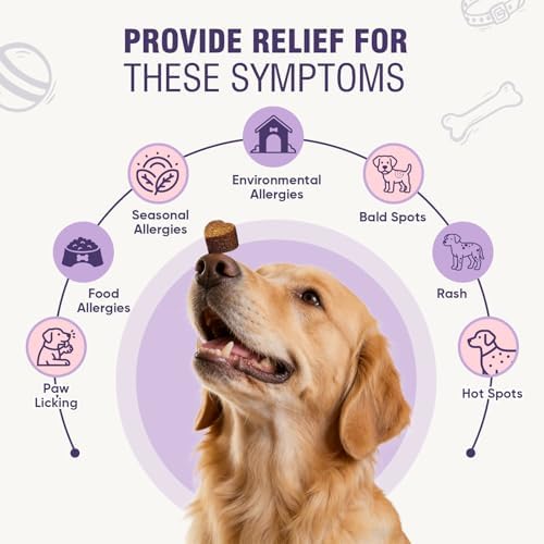 Dog Allergy Chews 200ct - Dog Allergy Itching Skin Relief Immune Support Anti Itch Probiotics for Yeast, Itchy Skin and Itchy Ears, Vitamins for Seasonal Allergies Itchy Skin Gut Health,Peanut Butter