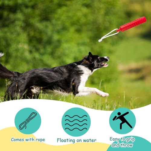 Blueweenly Multicolor Dog Bumper Toy Training Dummy, 4 Pcs | Plastic Lightweight Floats on Water, Textured with Rope for Fetch, Pool Outdoor Retrieving, Summer Water Play
