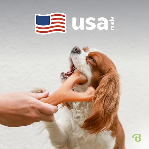 Benebone 2-Pack Wishbone Toy for Aggressive Chewers, Real Bacon, Medium | Durable, Multipack, Super Chewer, Made in USA, Dog Bones, Long-Lasting, A Size for Every Dog, Keeps Them Busy
