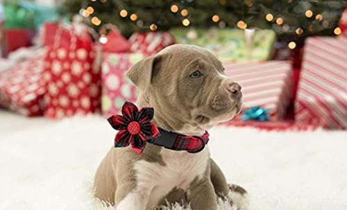 Lionet Paws Christmas Dog Collar with Flower, Soft and Comfortable, Adjustable Collar for Medium Dogs Girl Gift, Neck 13.5-22 inches