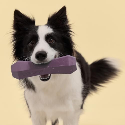 Playology Squeaky Chew Stick - Scented Dog Toy - Jumbo, Bacon Scent | Rubber Construction, All Natural Scent, Durable Design