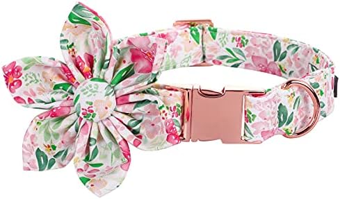 Lionet Paws Dog Collar with Flower, Soft and Comfortable, Adjustable Collar for Large Dogs Girl, Neck 16-24 inches