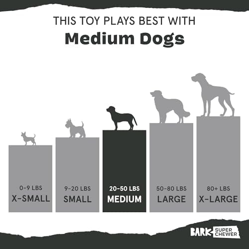BarkBox BARK Sun Power Tug Rope Toy - for Dogs - Medium | & Puppies