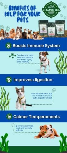 VITAMINSEA Micronutrients for Dogs & Cats | Dried Norwegian Kelp Seaweed Supplement | All Natural Food Additives | Rich in Vitamins, Minerals & Amino Acids | Rockweed Flakes for Overall Health | 6 oz