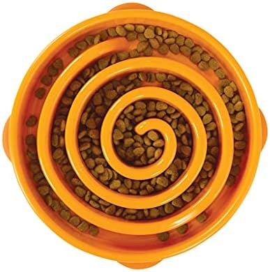 Outward Hound Fun Feeder Slo Bowl, Slow Feeder Dog Bowl, Large/Regular, Purple & Orange