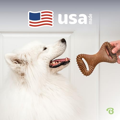 Benebone Dental Durable Dog Chew Toy for Aggressive Chewers, Real Bacon, Made in USA, Small