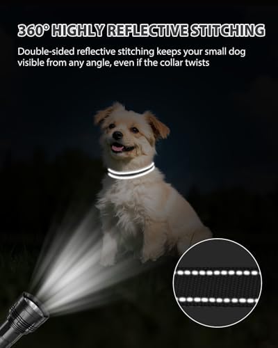 Joytale Feather-Light Dog Collar for Small & Medium Dogs, 3/4", Black
