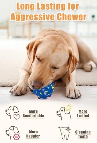 Moonorange Dog Tennis Balls, Floating, Yellow+Blue Mixed, Large