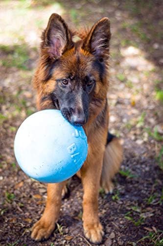 Jolly Pets Bounce-n-Play Dog Toy Ball, 8 Inches/Large, Blueberry, (Model: 2508 BB) | Durable large dog ball for dogs over 60 lbs, made from tough JollyFlex material that won't deflate when punctured and floats