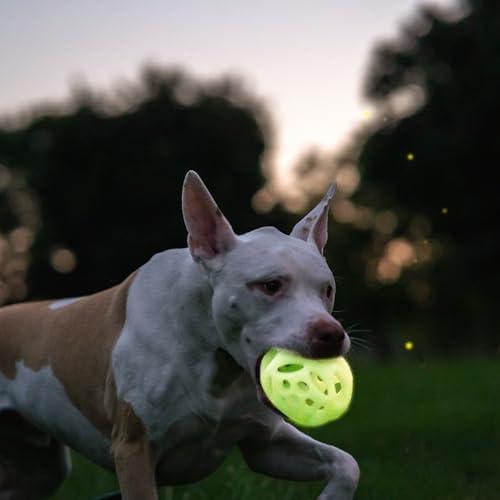Chew King by Mammoth Glow-in-the-Dark Dog Fetch Balls (2-Pack), Lattice Rubber Fetch Toys for Night Play, High Bounce, Rechargeable Under Any Light, Large 4.5"