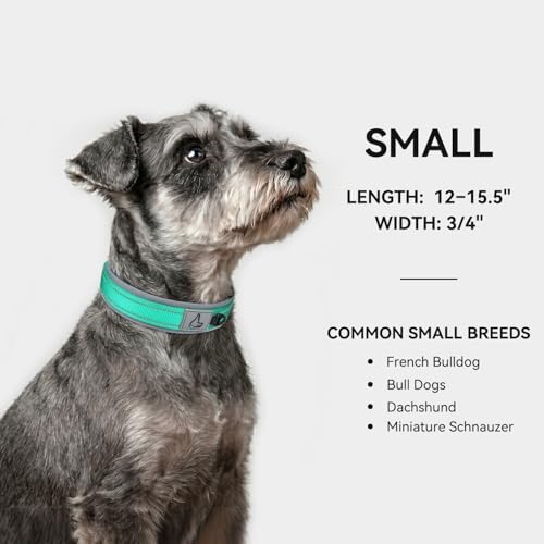 Joytale Reflective Dog Collar for Small Dogs with Wide Padding, Teal
