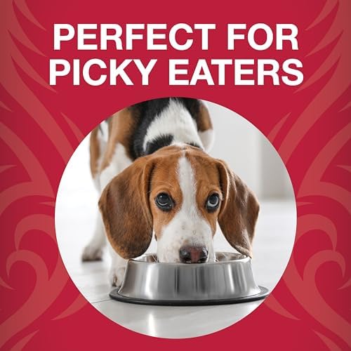 KOHA Raw Life Freeze-Dried Raw Bites Beef for Dogs, High Protein Meal, Topper, and Treat for Picky Eaters, 14oz Bag