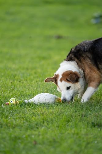 Petface Latex Chicken Dog Toy, Large