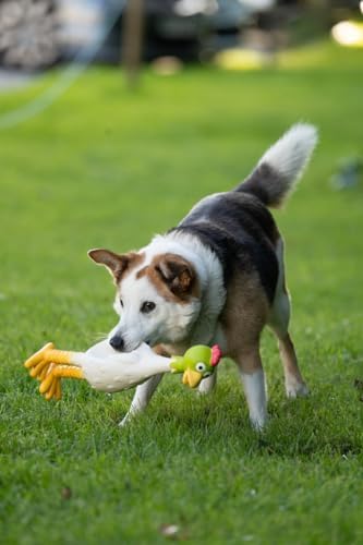 Petface Latex Chicken Dog Toy, Large