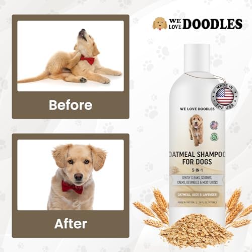 Premium Oatmeal Shampoo & Conditioner for Dogs with Sensitive & Itchy Skin | Provides Itch Relief & Soothes Dry Skin, Hypoallergenic, Tearless & Natural For Puppies, Pets & Cats, Anti-Itch, Made In USA