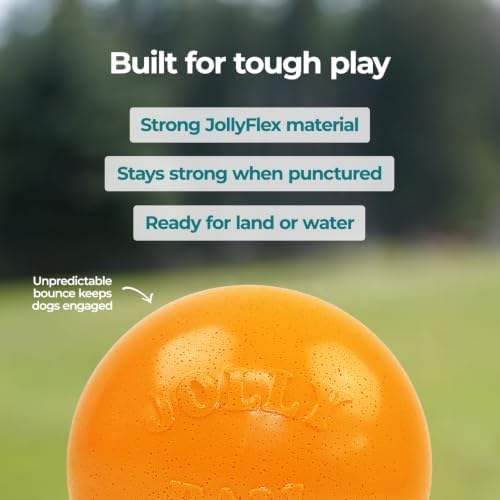 Jolly Pets Bounce-n-Play Dog Toy Ball, 8 Inches/Large, Orange, (Model: 2508 OR) | Durable large dog ball for dogs over 60 lbs, made from tough JollyFlex material that won't deflate when punctured and floats
