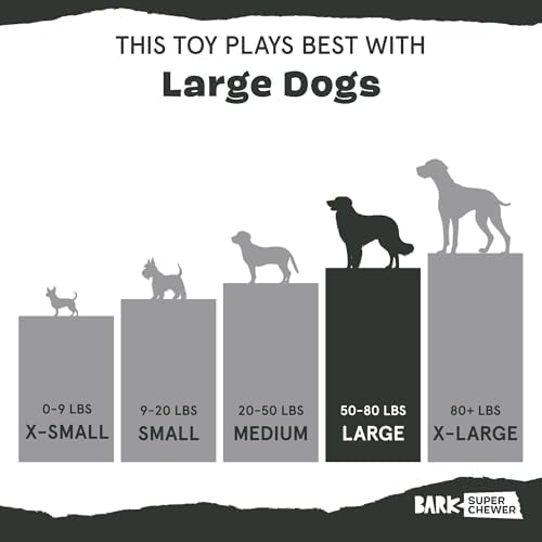 BarkBox Torbert The Troll Dog Toy - for Large Dogs | Natural Rubber with Wacky Bounce Perfect for Aggressive Chewers and Long-Lasting Playtime