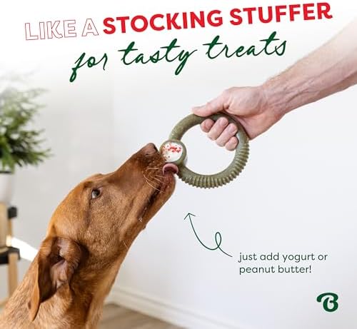 Benebone Ring Dog Chew Toy for Aggressive Chewers, Peppermint, Medium | Durable, Super Chewer, Made in USA, Dog Bones, Long-Lasting, A Size for Every Dog, Keeps Them Busy