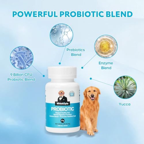 Dog Probiotic Supplement for Digestive Gut Support