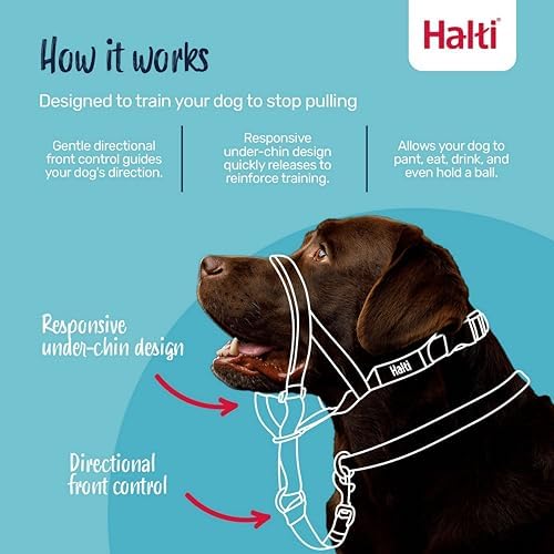 Halti Headcollar | Size 4, Red | Training Collar for Large Dogs