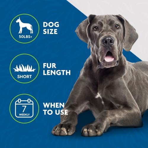 FURminator Large Dog Undercoat deShedding Tool for Short Hair, Large, Blue
