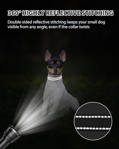 Joytale Feather-Light Puppy Collar for Extra Small Dogs, 3/8", Black