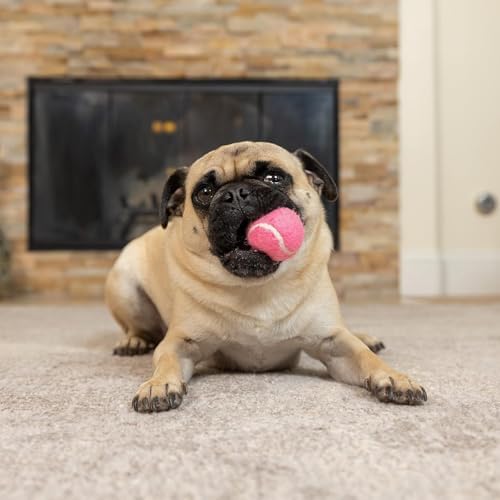 Hyper Pet Mini Extra Small Tennis Balls for Dogs, 1.75 Inch, 4 Pack, Pink | Safe interactive playthings for exercise and training, works with the K9 Kannon launcher, keeps little pups active daily