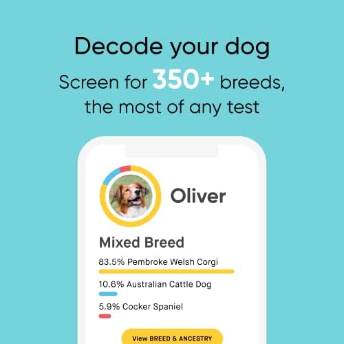 Embark Breed, Health & Age DNA Test Bundle
