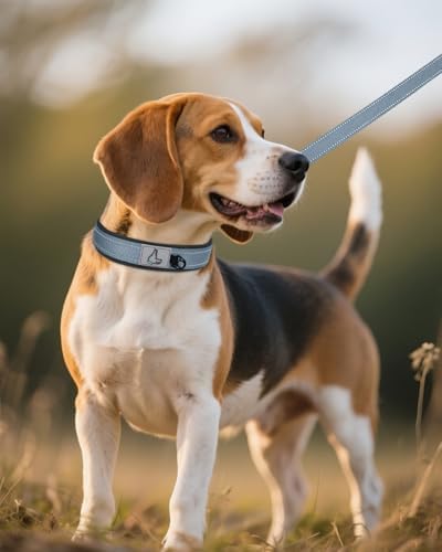 Joytale Reflective Dog Collar for Medium Dogs with Wide Padding, Gray