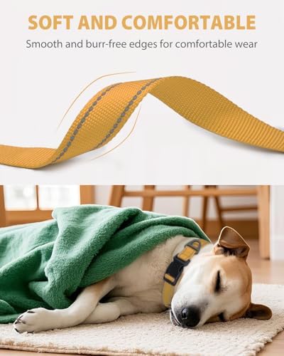 Joytale Feather-Light Dog Collar for Extra Large Dogs, 1 1/4", Khaki