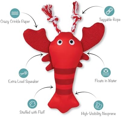 Fringe Studio Floating Dog Toy with Rope, Feeling Claw-Some