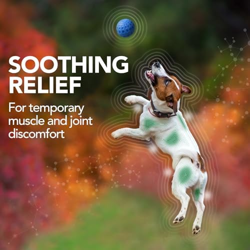 Vet’s Best Dog Pain Relief Supplement,Natural Aspirin Alternative for Hip & Joint Support,Arthritis & Aches Relief Tablets for Dogs,150 Count (Pack of 2)