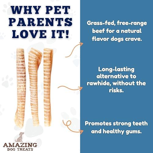 Amazing Dog Treats - 12 Inch Beef Trachea Chews for Dogs (10 pcs/pk) - 100% Natural Trachea Dog Treats - Excellent Source of Glucosamine - Natural Long Lasting Treats