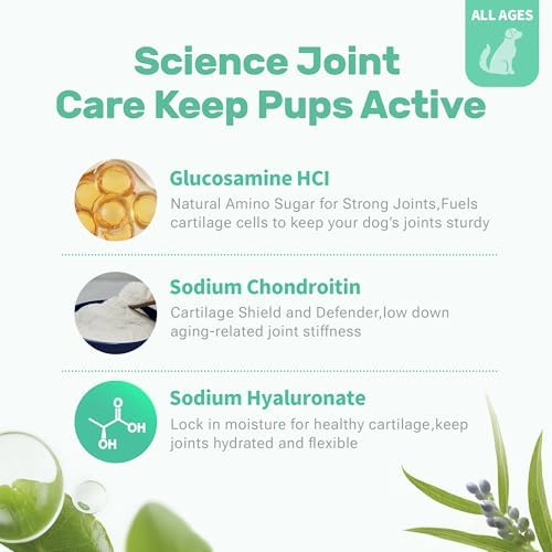 Dog Hip and Joint Supplement, Glucosamine Chondroitin Chews with Green Lipped Mussel Omega 3 Collagen Support Joint Flexibility Pain Relief, Joint Supplements for Small Large Breeds Dogs, 90 Count